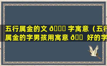 五行属金的文 🐈 字寓意（五行属金的字男孩用寓意 🐠 好的字取名）